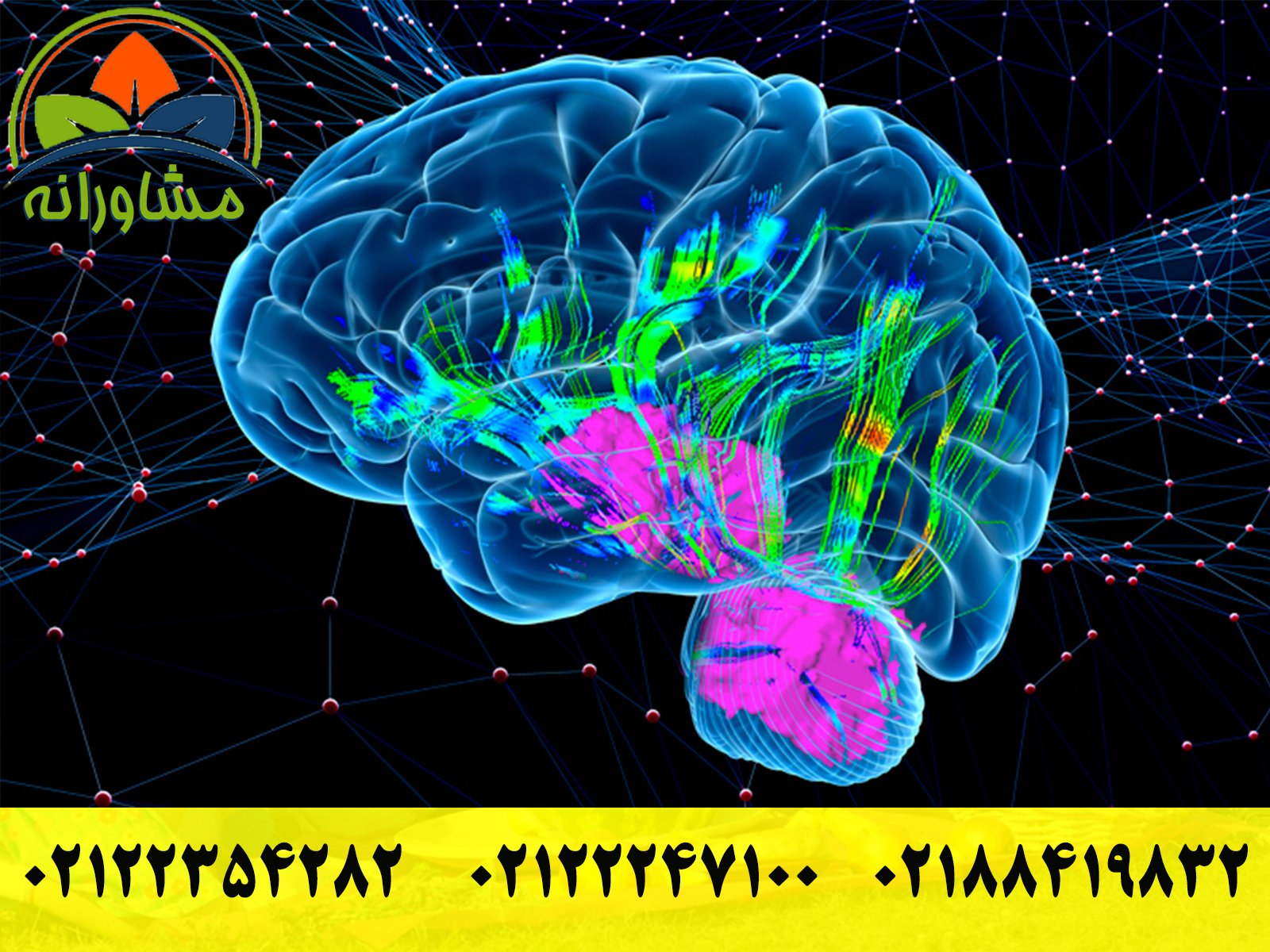 کاربردهای نقشه برداری مغزی