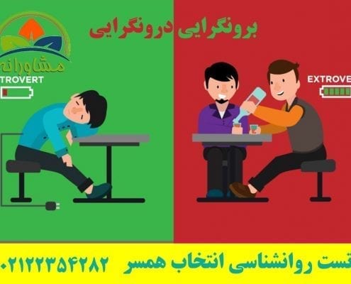تست روانشناسی انتخاب همسر درونگرایی-برونگرایی