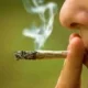 علل گرایش به ماریجوانا